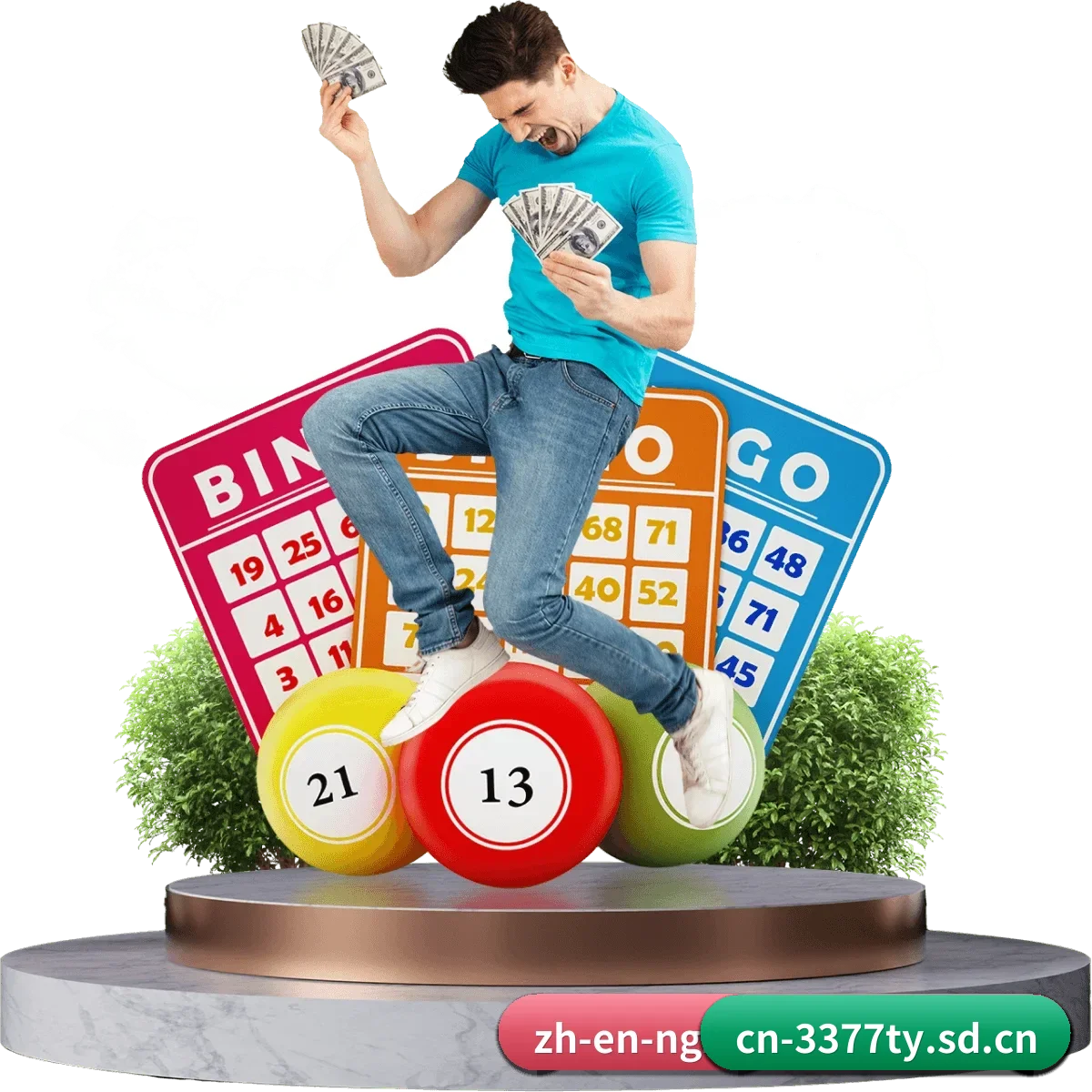 品牌创立与认证（3377ty）
